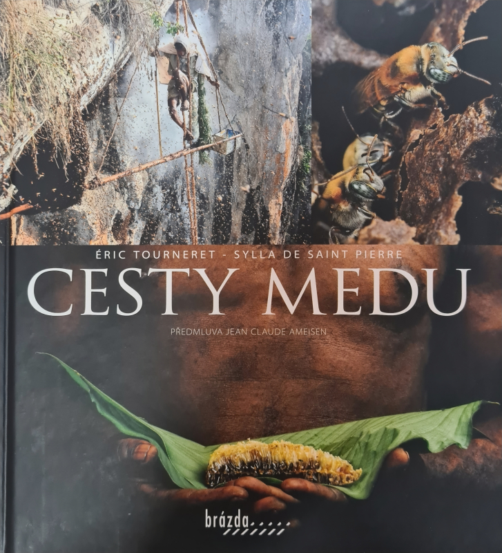 Cesty medu