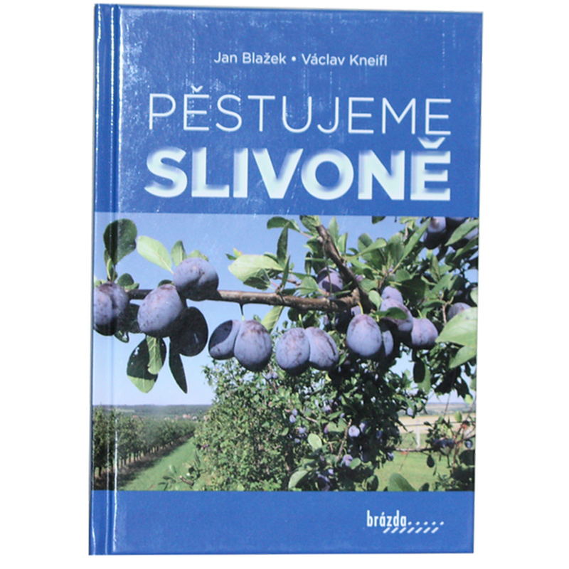 Kniha - Pestujeme slivone